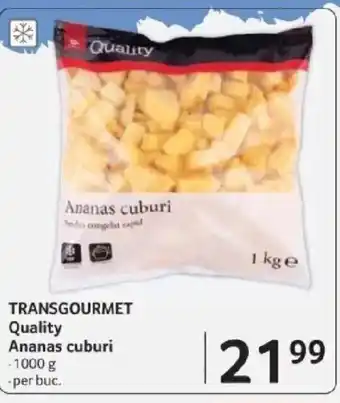 Selgros TRANSGOURMET Quality Ananas cuburi Ofertă