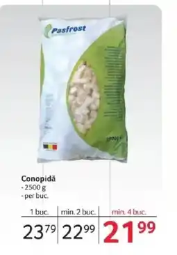 Selgros Conopidă Ofertă