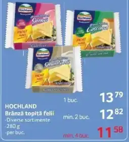 Selgros HOCHLAND Brânză topită felii Ofertă