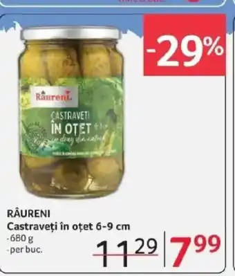 Selgros RÂURENI Castraveţi în oțet 6-9 cm Ofertă