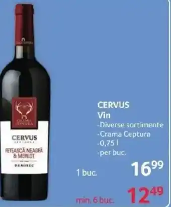 Selgros CERVUS Vin Ofertă