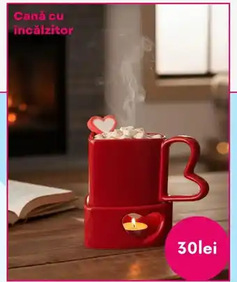 Cană cu încălzitor