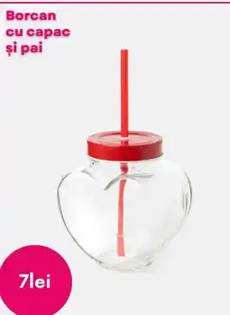 Pepco Borcan cu capac și pai Ofertă