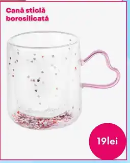 Pepco Canǎ sticlă borosilicatǎ Ofertă