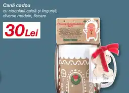 Kik Canǎ cadou cu ciocolată caldă și linguriţă Ofertă