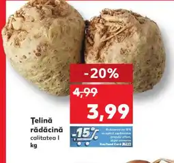 Kaufland Ţelină rădăcină Ofertă