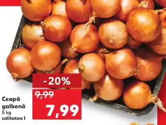 Kaufland Ceapă galbenă Ofertă