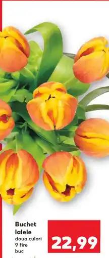 Kaufland Buchet lalele Ofertă