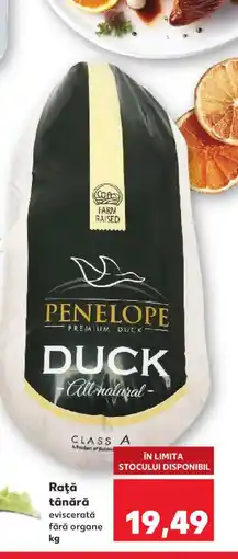 Kaufland Raţă tânără Ofertă