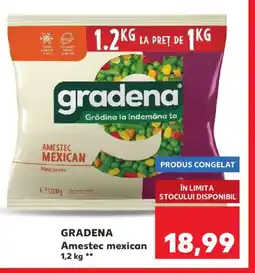 Kaufland GRADENA Amestec mexican Ofertă