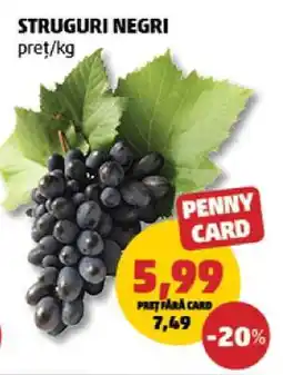 Penny Struguri negri Ofertă
