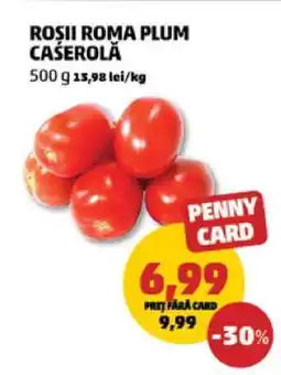 Penny Roșii Roma Plum Caserolă Ofertă