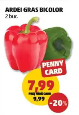 Penny ARDEI GRAS BICOLOR Ofertă
