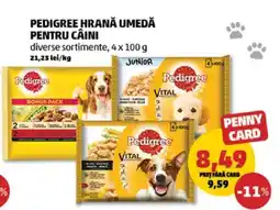 Penny PEDIGREE hrană umedă pentru câini Ofertă