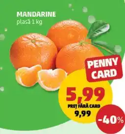 Penny Mandarine Ofertă