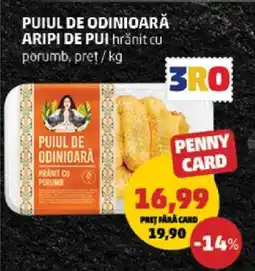 Penny PUIUL DE ODINIOARĂ ARIPI DE PUI Ofertă