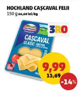 Penny HOCHLAND Caşcaval felii Ofertă