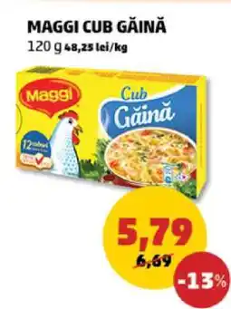 Penny MAGGI CUB GĂINĂ Ofertă