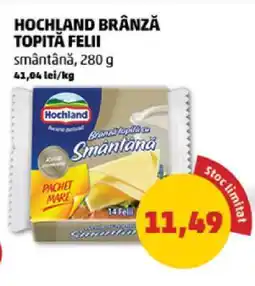 Penny HOCHLAND Brânză topită felii Ofertă