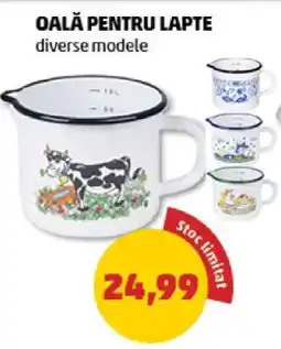 Penny Oală pentru lapte Ofertă