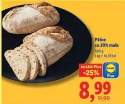 Lidl Pâine cu 20% maia Ofertă