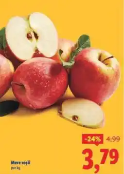 Lidl Mere roşii Ofertă