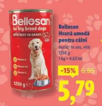 Lidl Bellosan Hrană umedă pentru câini Ofertă
