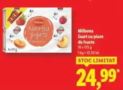 Lidl Milbona Iaurt cu piure de fructe Ofertă