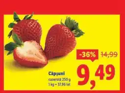 Lidl Căpşuni Ofertă