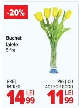 Carrefour Buchet lalele Ofertă