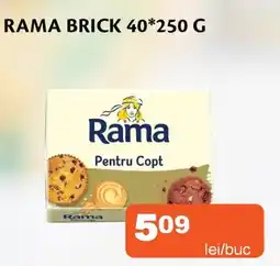 Unicarm Rama brick 40* Ofertă