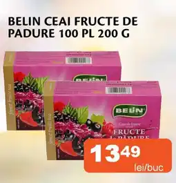 Unicarm Belin ceai fructe de padure 100 PL Ofertă