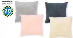 TEDI Pernă simplă Ofertă