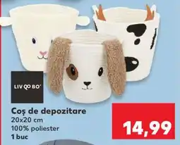 Kaufland Coș de depozitare Ofertă