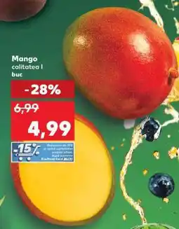 Kaufland Mango Ofertă