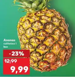 Kaufland Ananas Ofertă