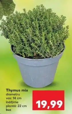 Kaufland Thymus mix Ofertă