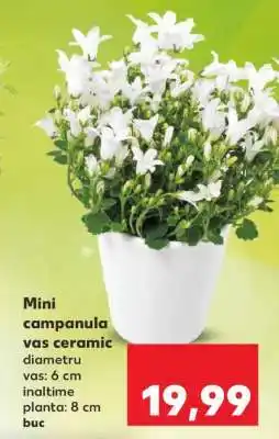 Kaufland Mini campanula vas ceramic Ofertă