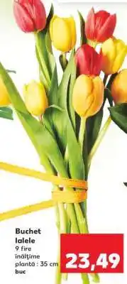 Kaufland Buchet lalele Ofertă