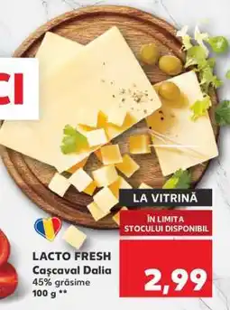 Kaufland LACTO FRESH Cașcaval Dalia Ofertă