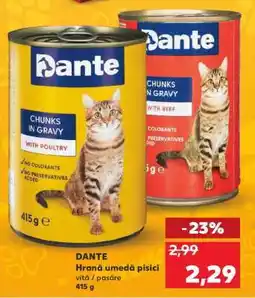 Kaufland DANTE Hrană umedă pisici Ofertă