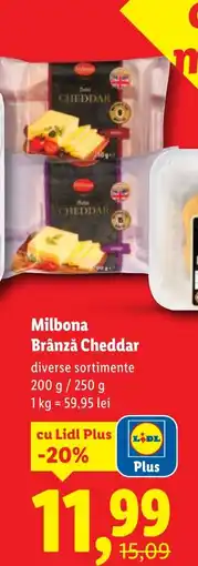 Lidl Milbona Brânză Cheddar Ofertă