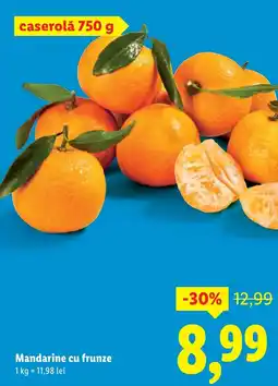 Lidl Mandarine cu frunze Ofertă