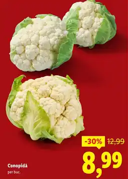 Lidl Conopidă Ofertă