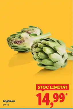 Lidl Anghinare Ofertă