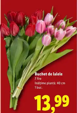 Lidl Buchet de lalele Ofertă