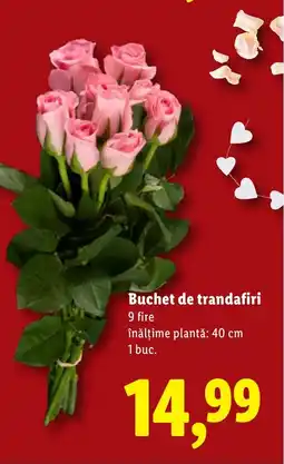 Lidl Buchet de trandafiri Ofertă