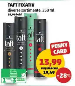 Penny TAFT FIXATIV Ofertă