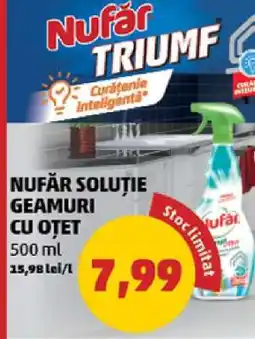 Penny NUFĂR SOLUȚIE GEAMURI CU OȚET Ofertă