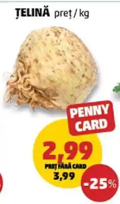 Penny Țelină Ofertă